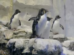 -华夏文旅海洋公园