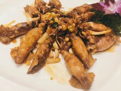 红烧鱿鱼筒-宝园酒家(美林M·LIVE天地东座店)