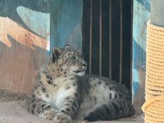 -青藏高原野生动物园