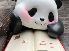 -轩客会(熊猫书店)