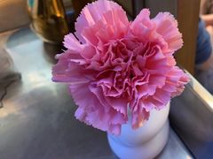 -王家渡火锅店(棕榈泉店)