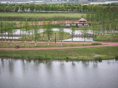 -春花秋色城市公园