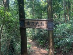 -广州市帽峰山景区