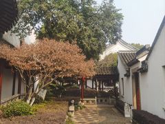 -檀园