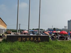 -蒲河大集