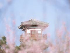 -宝鸡植物园