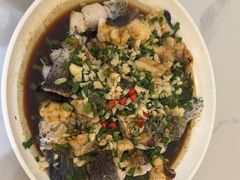-全乐鱼馆·淳牌有机鱼直营店