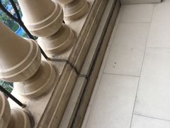 -珠海横琴长隆《卡卡虎奇遇记》