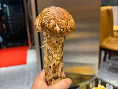 -菌之家·专业纯野生菌火锅·特色炒菌