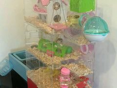 萌神大别墅-鸽屋咕咕咕(金銮大厦店)