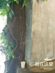 -木北护肤造型