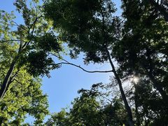 -黔灵山公园-南门售票处