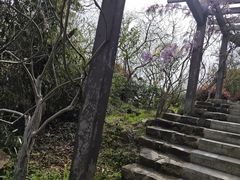 -缥缈峰景区