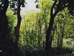 -珠海圆明新园