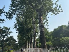 -钓鱼台国宾馆