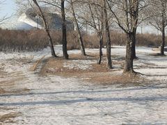 -哈尔滨大剧院