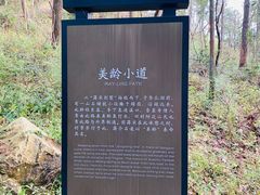 -溪口商量岗景区