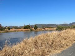-良渚文化村