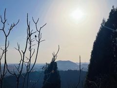 -府君山公园