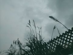 -会稽山峡洞漂流-上青古道