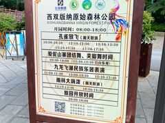 -西双版纳原始森林公园