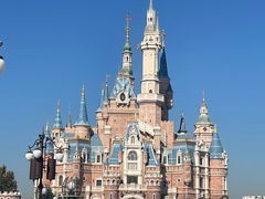 -Lotso Lunch Box 草莓熊餐盒