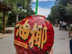 -八大处公园