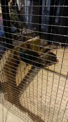 -酷嗒动物文化乐园(cutezoo西溪乐天城店)