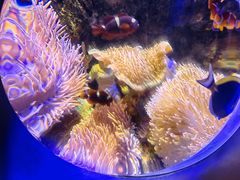 -太平洋海底世界