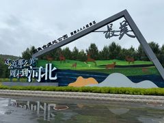 -御道口草原森林风景区