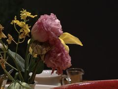 -萬國春·中菜馆(颐和公馆店)