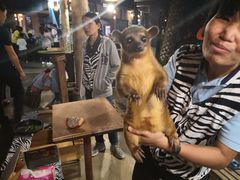 -清迈夜间动物园