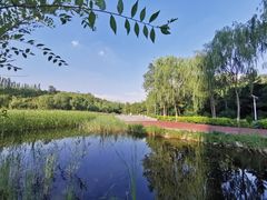 -成吉思汗公园
