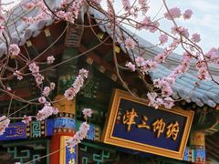 -桃花堤公园