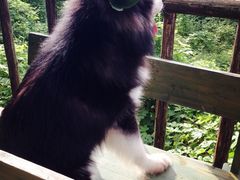 -三圣花乡旅游区