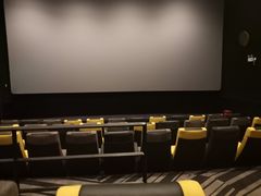 -百美汇影城(LUXE嘉里中心店)