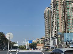 -中山市树木园