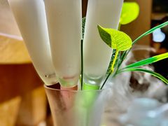 -探窝·竹笙椰子鸡(杨箕店)