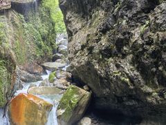 -鹿院坪生态旅游景区