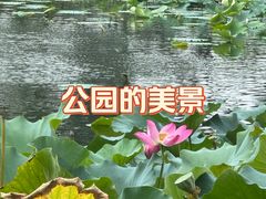 -新江湾城公园