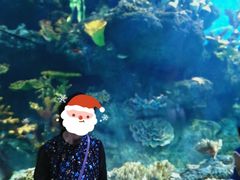 -华夏文旅海洋公园