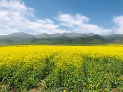 -青海湖国家重点风景名胜区
