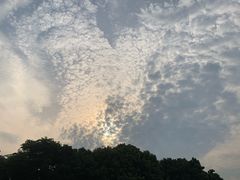 -罗浮山嘉宝田森林温泉度假酒店