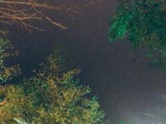 -咸宁万豪温泉谷度假区