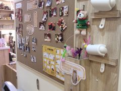 -滚猫咖啡·猫咖·猫友好撸猫(未来城店)