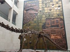 -衢州市博物馆