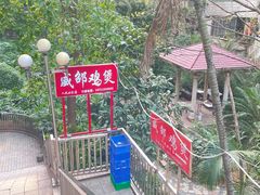 -威邵鸡煲(西华路总店)