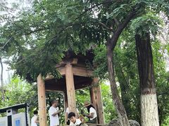 -莲湖公园