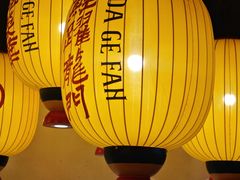 -大鸽饭(动物园店)