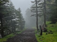 -富士山吉田線五合目